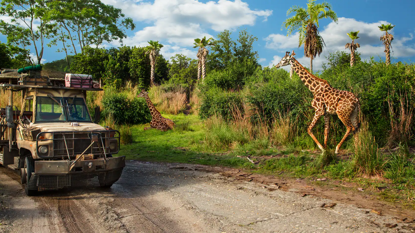 Kilimanjaro Safaris | Animal Kingdom Attractions | Walt Disney World Resort